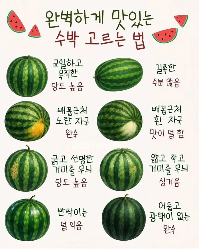 수박 고르는 방법