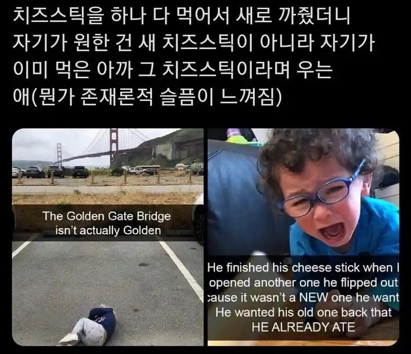 치즈스틱을 먹고 싶었던 꼬마.jpg