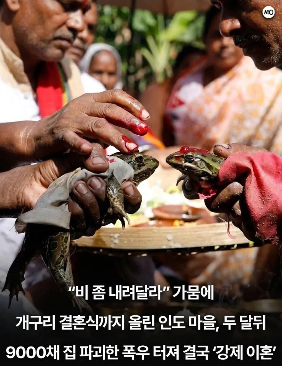 비 좀 내려주세요!
