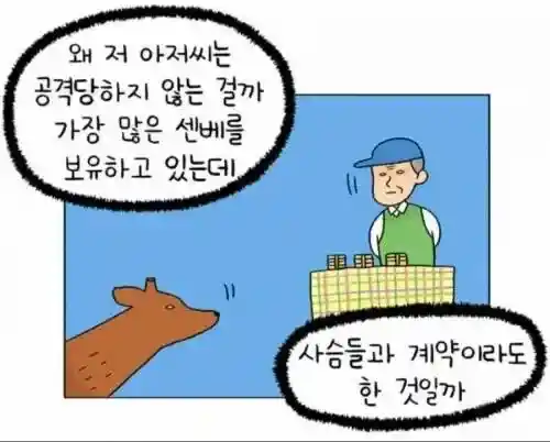일본 나라 사슴공원을 방문한 관광객들이 가지는 의문