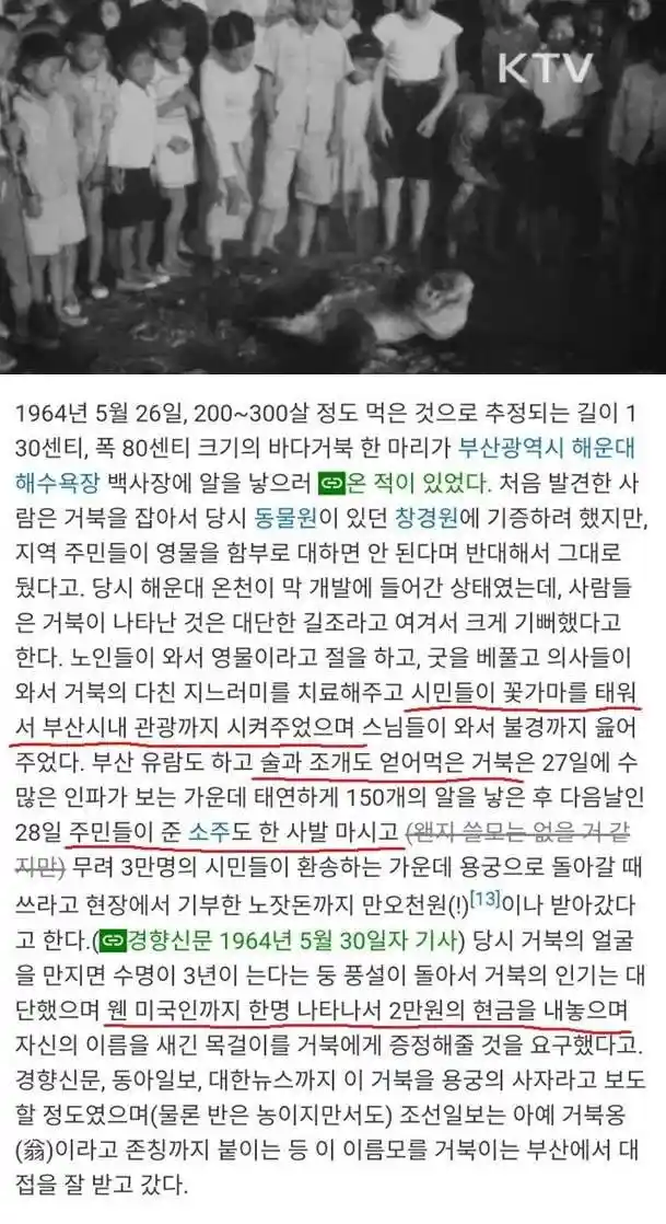 전설의 부산 풀코스 ㄷㄷ.jpg