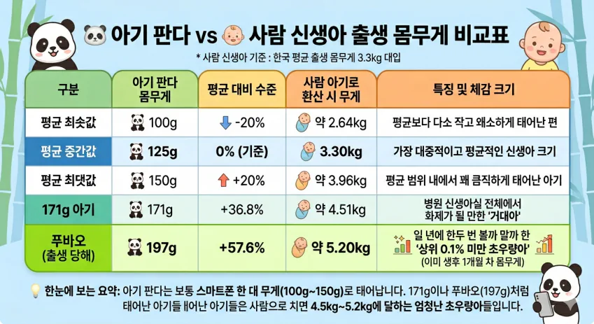 바오가 아기판다 몸무게를 사람 신생아로 환산하면?🐼