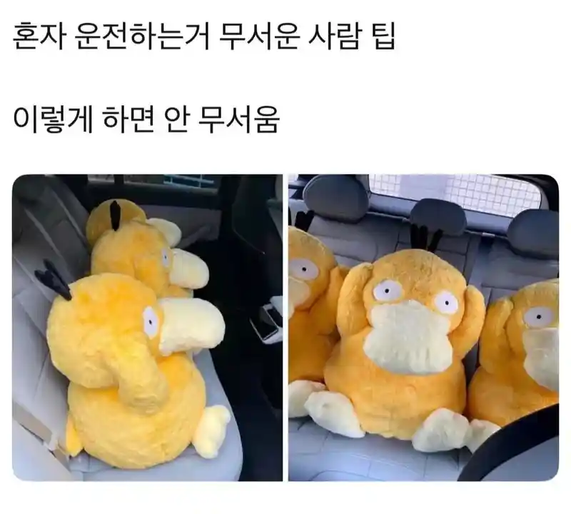 혼자 운전하는거 무서운 사람 팁