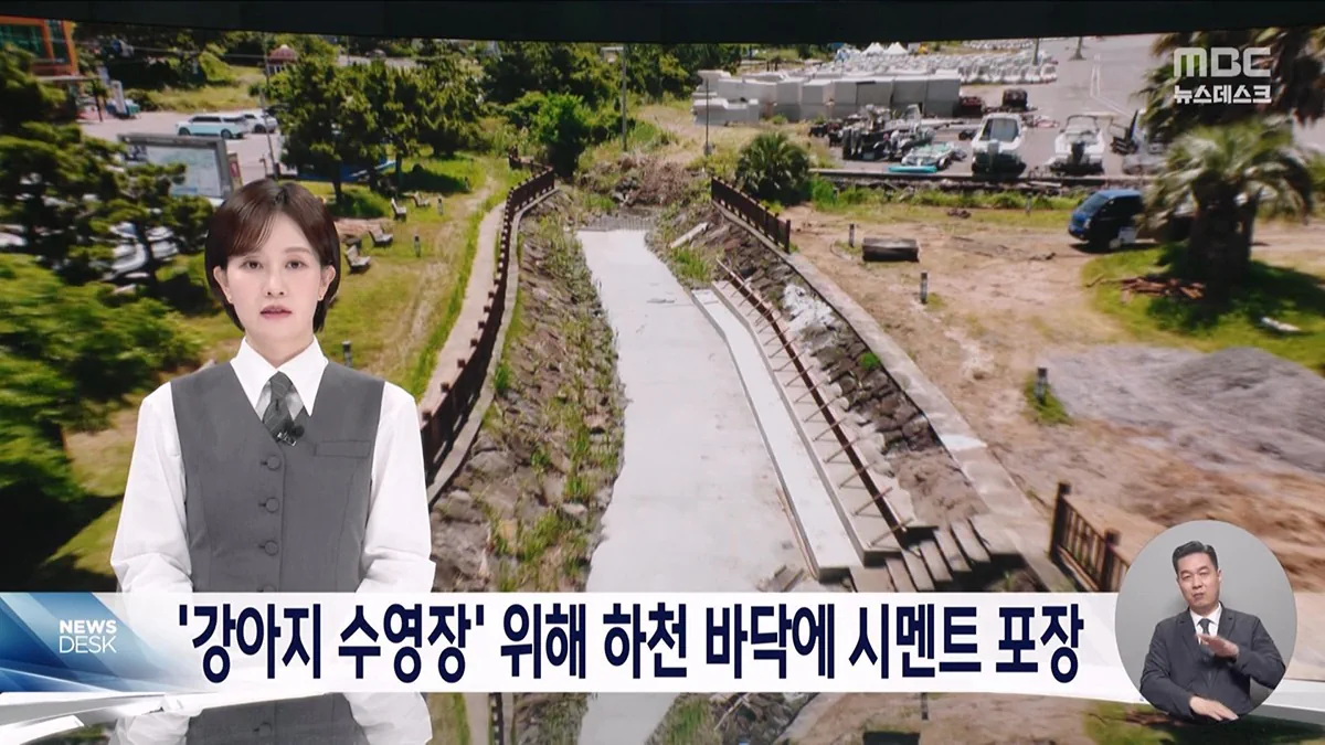 강아지 수영장 위해 하천 바다에 시멘트 포장