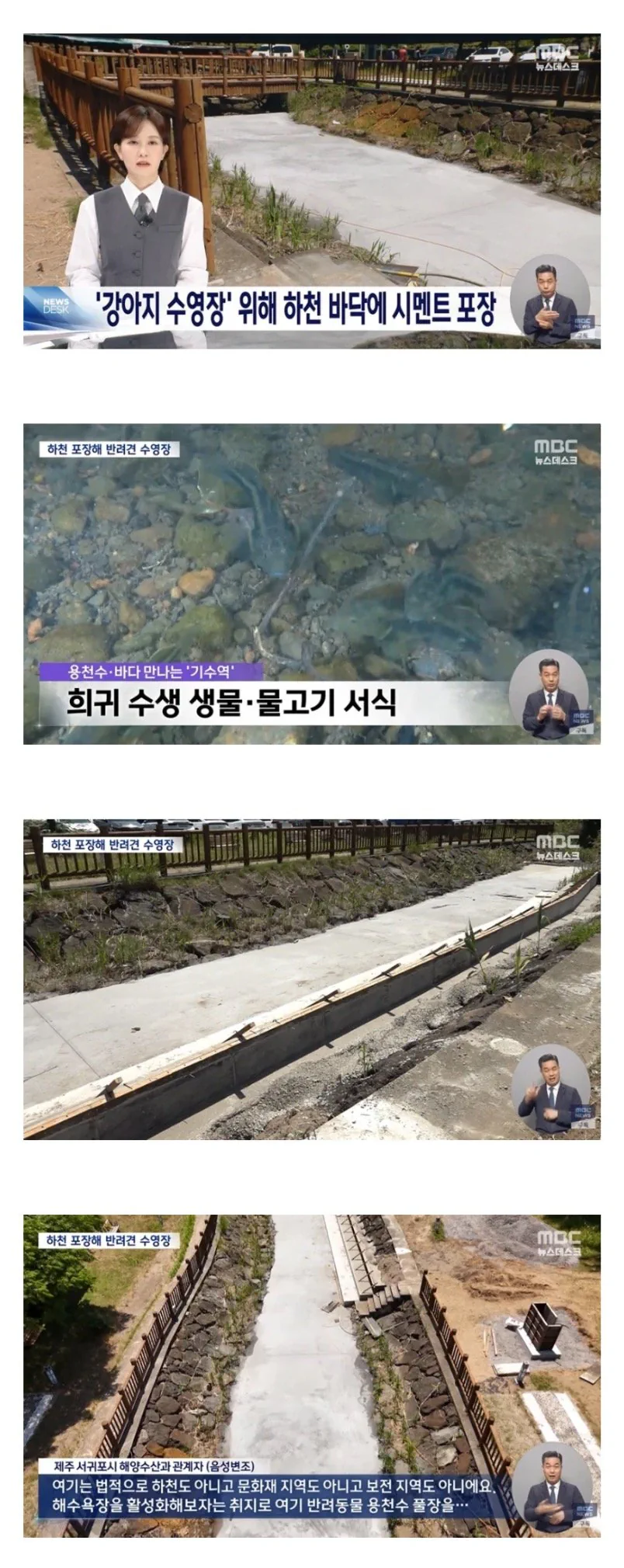 제주도 서귀포 근황
