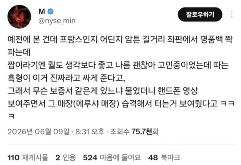 프랑스 길거리에서 파는 명품백 클라스 ㅎㄷㄷ