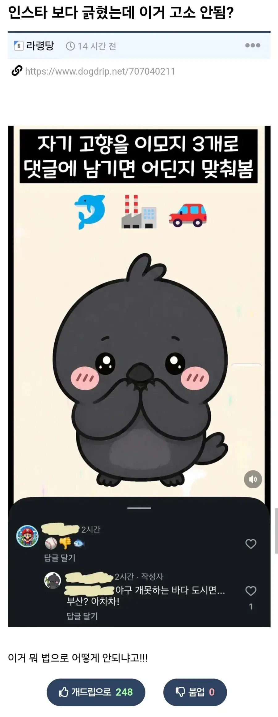 인스타 보다가 긁힌 사람ㅋㅋㅋ