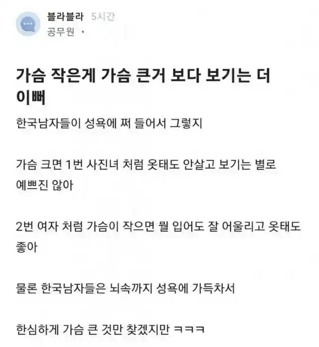 가슴 작은게 가슴 큰거보다 보기는 더 이뻐
