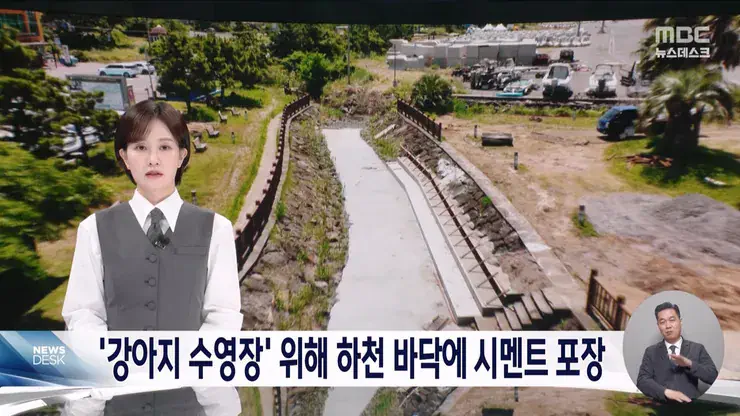 멀쩡한 하천을 콘크리트로 채워~반려동물 수영장 만드느라~