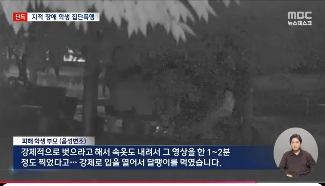 지적장애 학생을 집단 폭행
