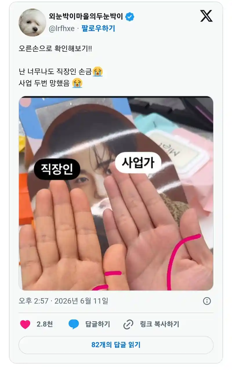 직장인 손금vs사업가 손금 확인해보기