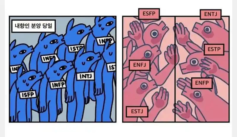 내향인들 분양을 기다리는 외향인들