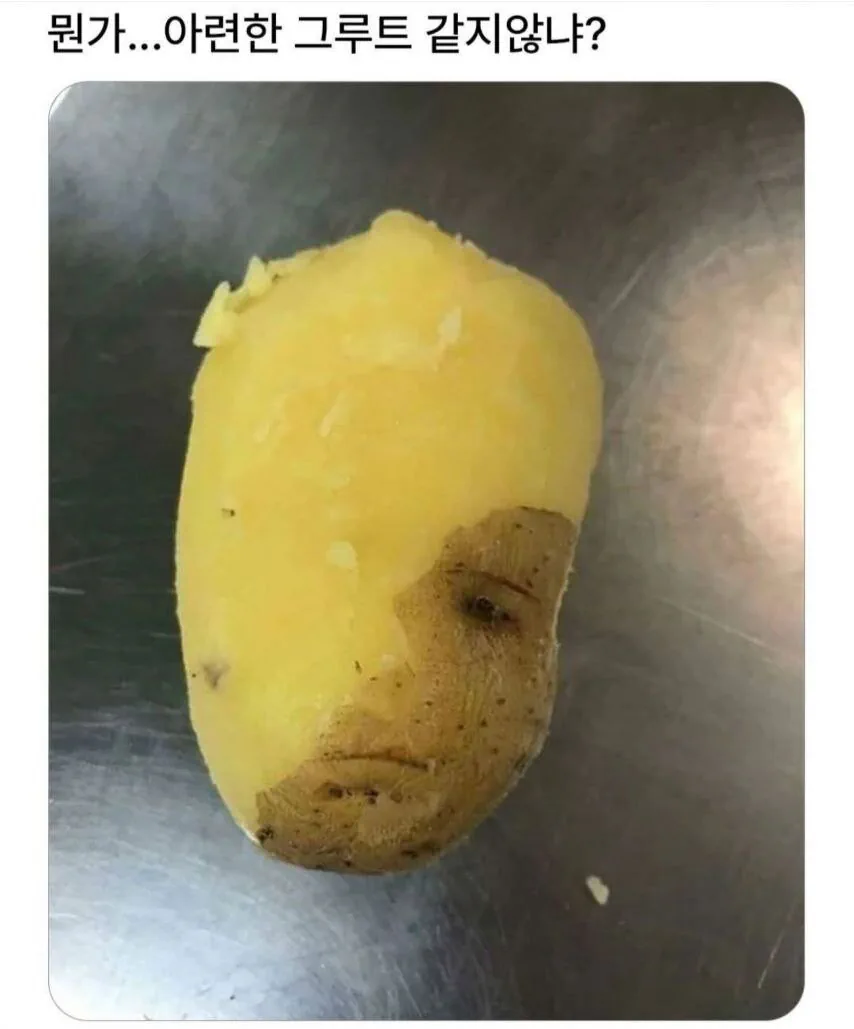 감자 껍질 깎다가 뭔가 발견함