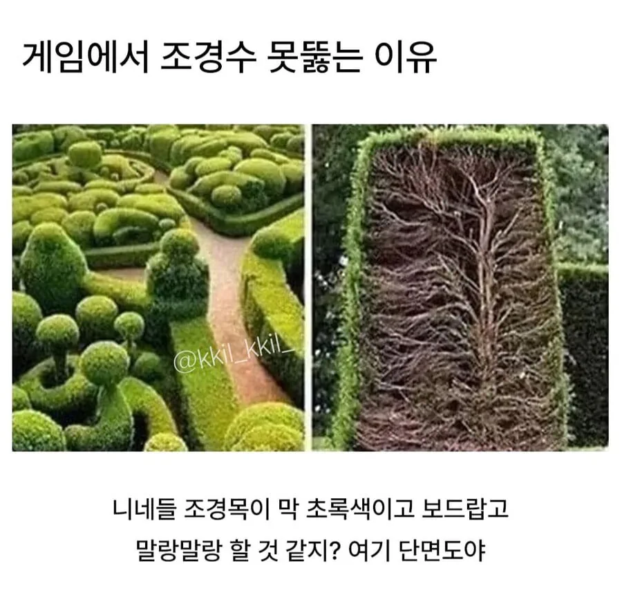 게임에서 조경수 못뚫는 이유