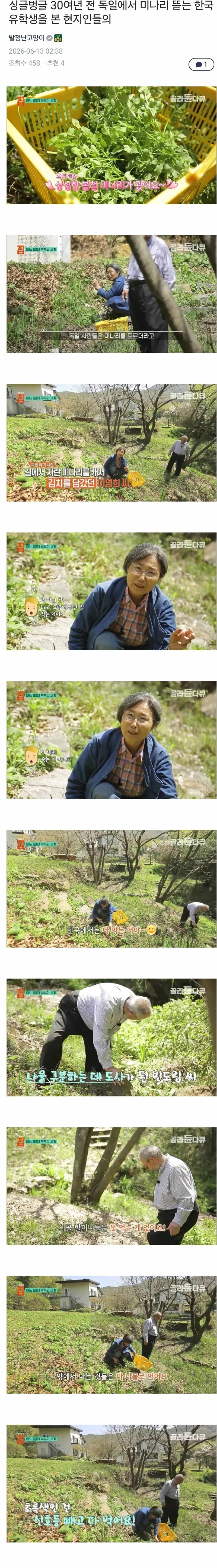 독초먹는 한국인들