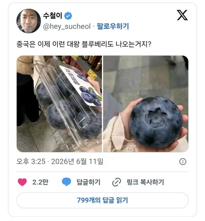 X] 중국에서 판다는 대왕 블루베리.twt