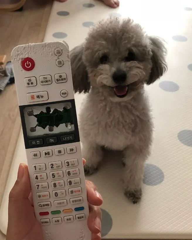 ??? : 니가 뭘 할수있는데 ㅋㅋㅋㅋ