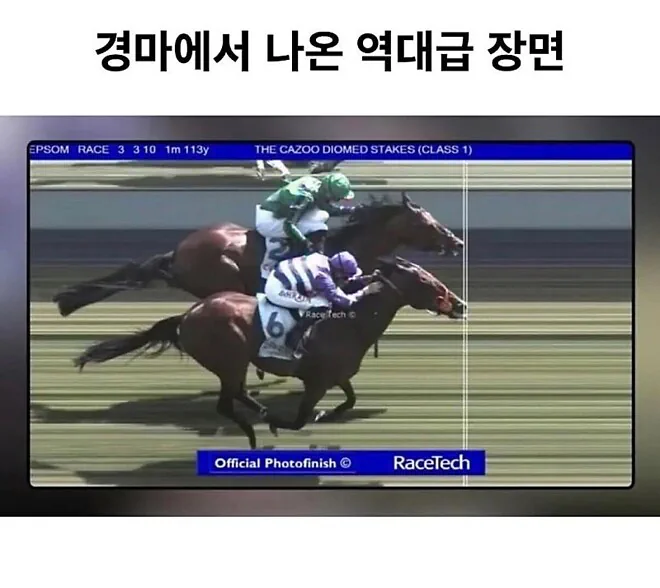 경마에서 나온 역대급 장면