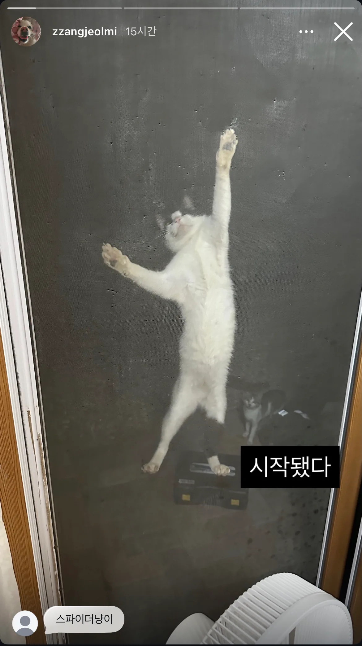 또 시작된 절미언니네 방충망 상황...jpg