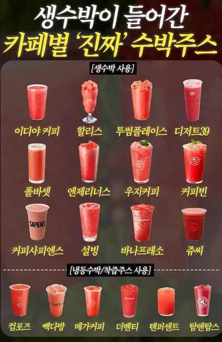 현재 카페알바들 경악중인 수박주스 도감