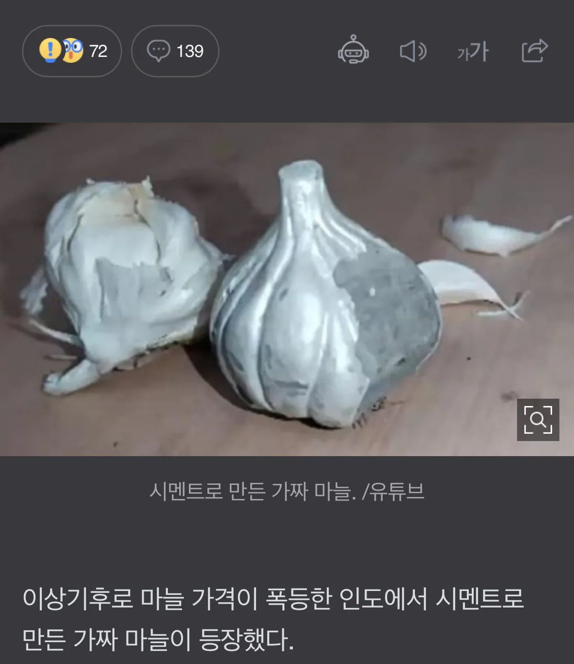 인도 마늘