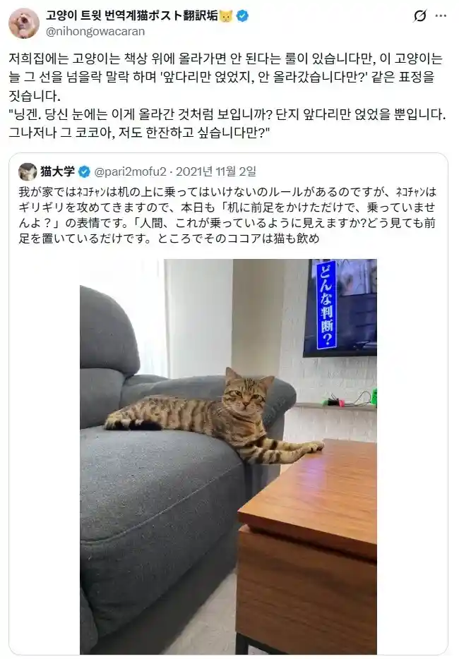 고양이는 책상 위에 올라가면 안된다는 룰이 있습니다만.jpg