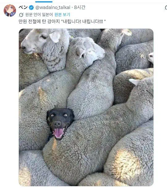내릴게요 내릴게요 아 잠시만요.jpg