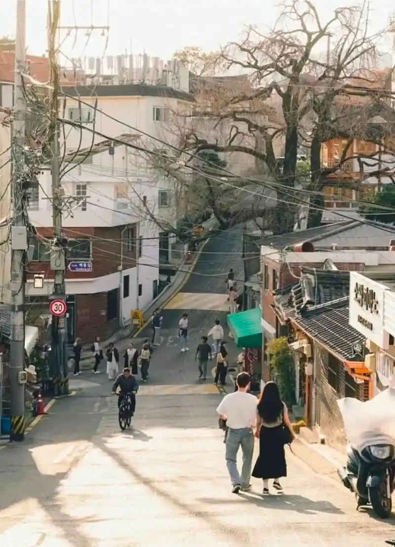 외국인이 찍은 창덕궁의 사계절.jpg