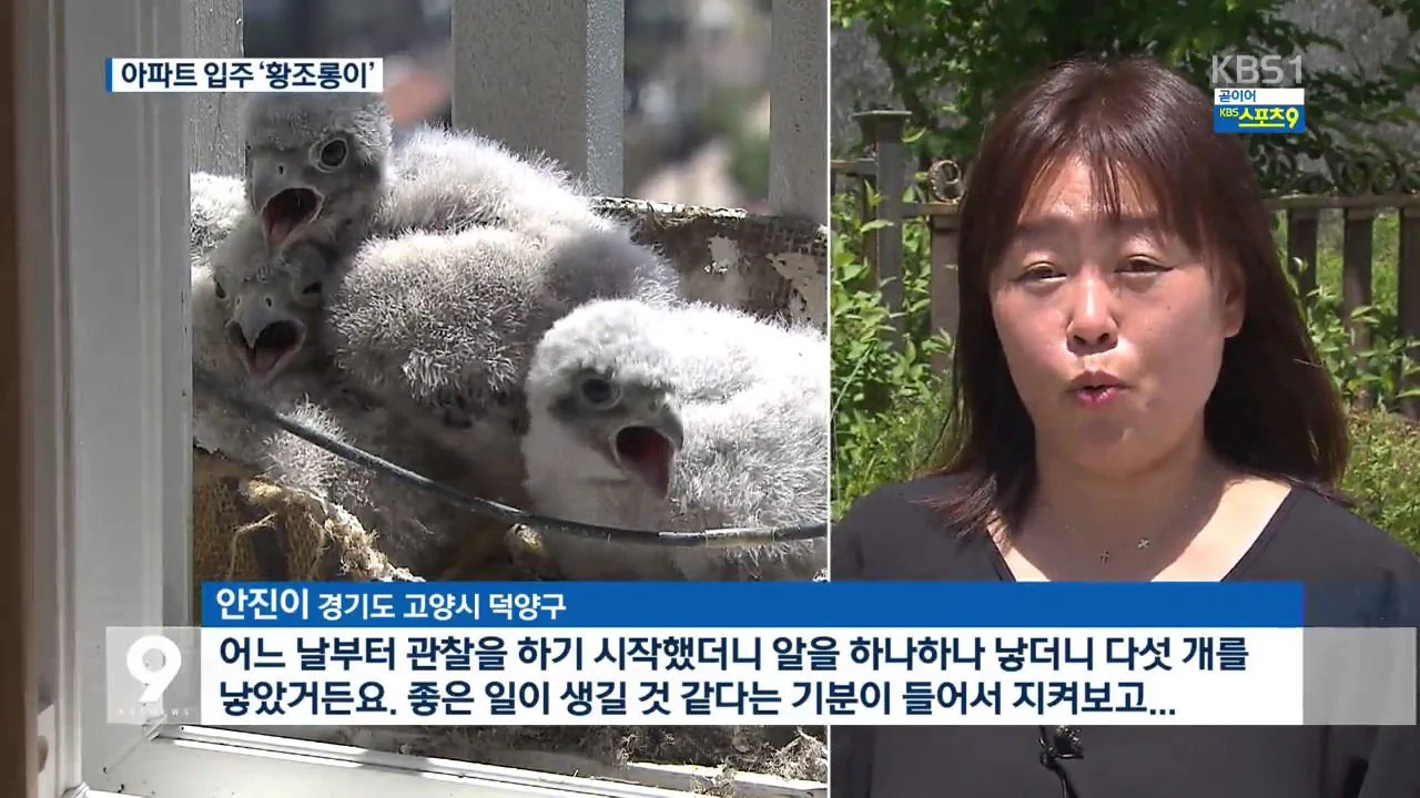 아파트 덕분에 번식률이 증가했다는 촉법동물. jpg