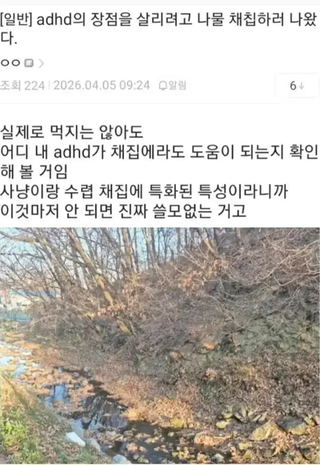 adhd의 장점을 살리기 위해 노력하는 디씨인
