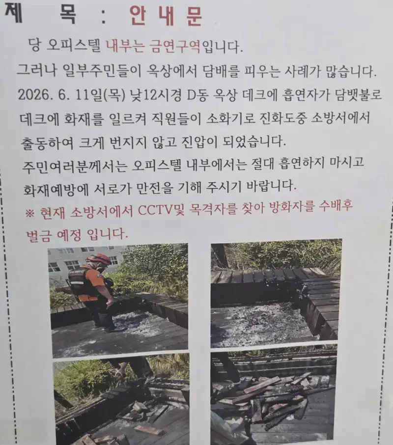 일부 흡연자들은 사람을 죽일 수도 있다
