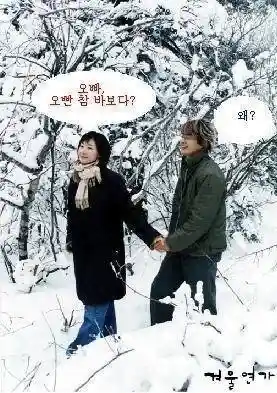 오빠, 오빤 참 바보다?
