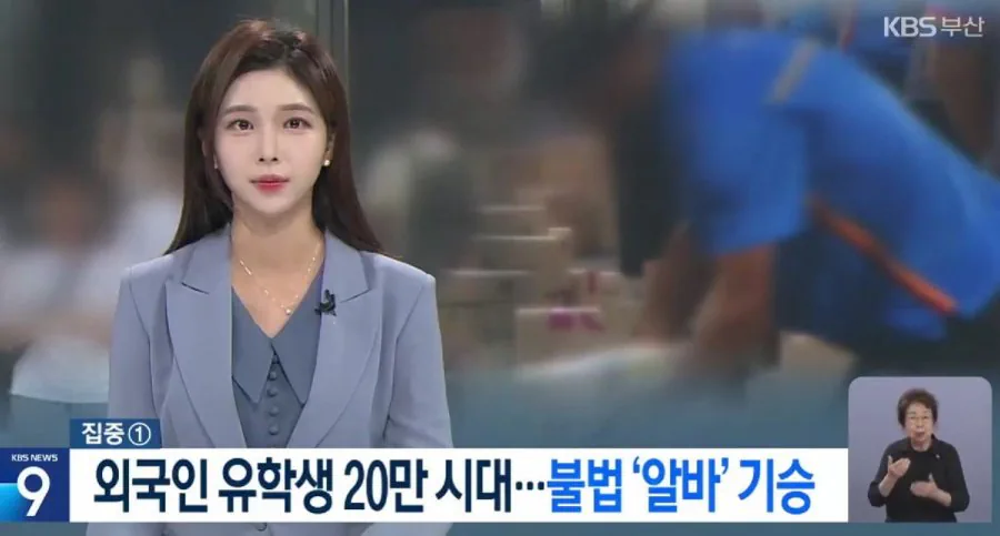한국으로 유학오는 외국인 근황
