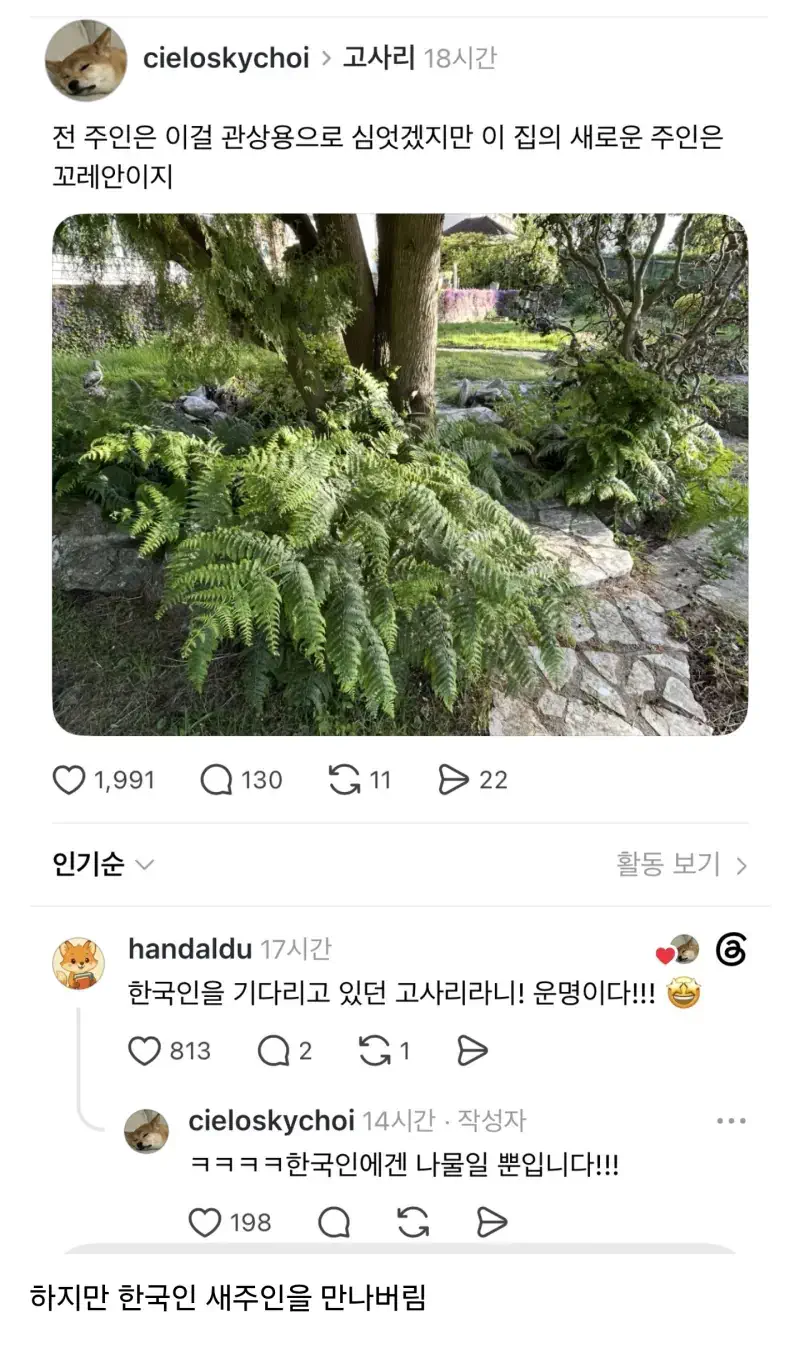 스레드] 전 주인은 널 관상용으로 키웠겠지.jpg