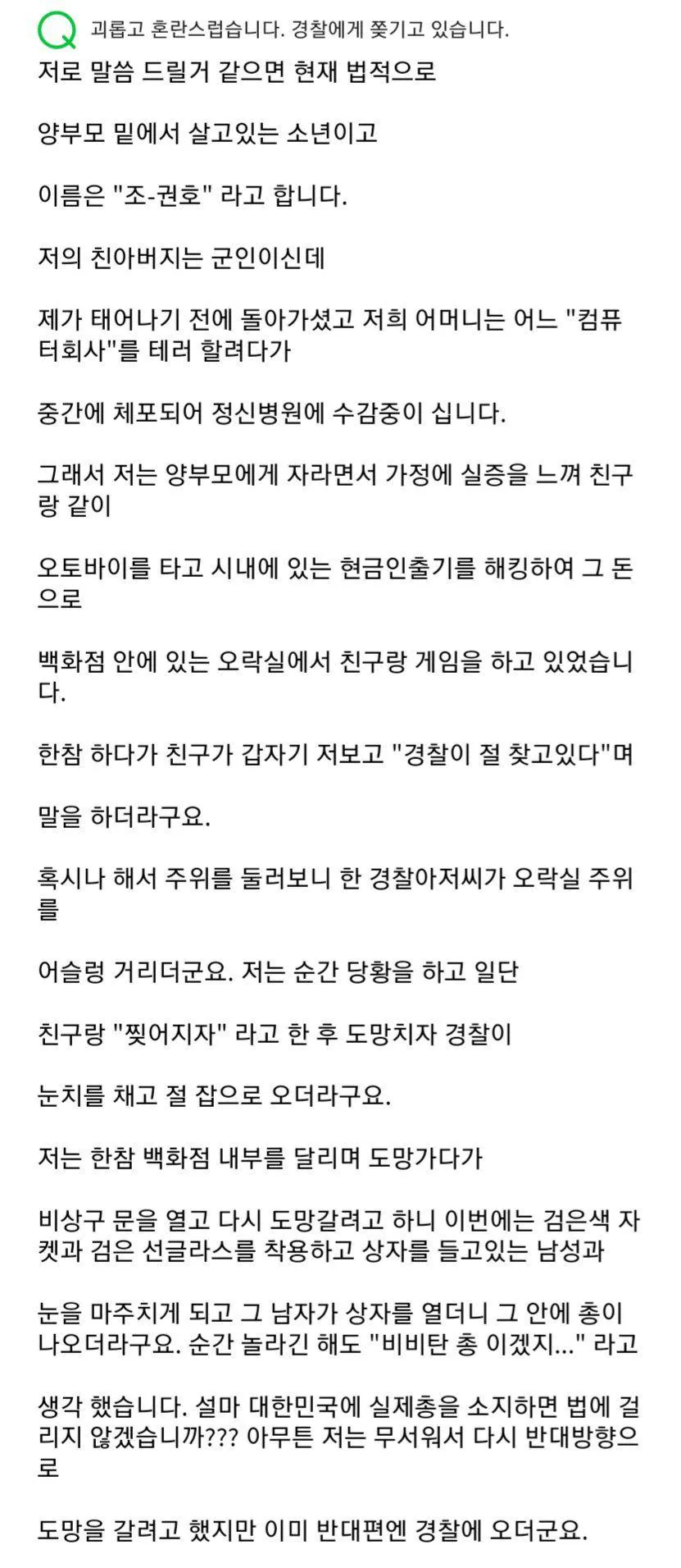 경찰에게 쫓기고있는 어느 소년의 이야기.jpg