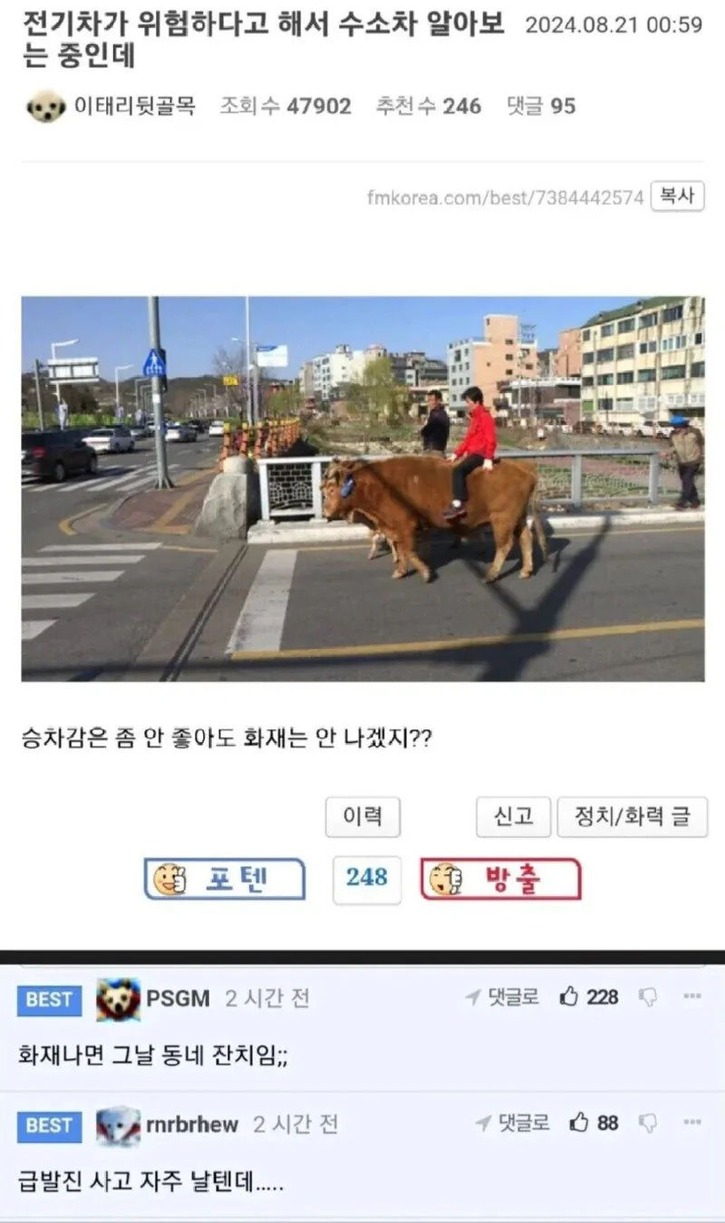전기차 위험하대서 수소차 알아 보는데