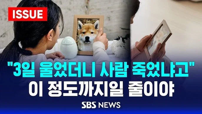 반려동물을 키우지 않는 이유 중 큰 비중을 차지하는 사유