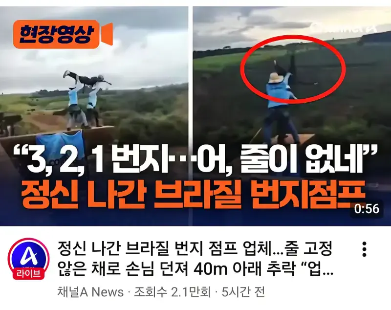 정신나간 브라질 번지점프 업체