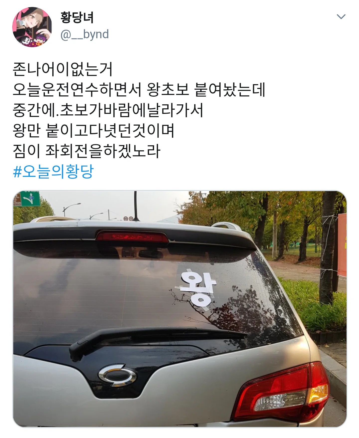 왕초보 스티커 붙이고 운전연수 받다가.jpg