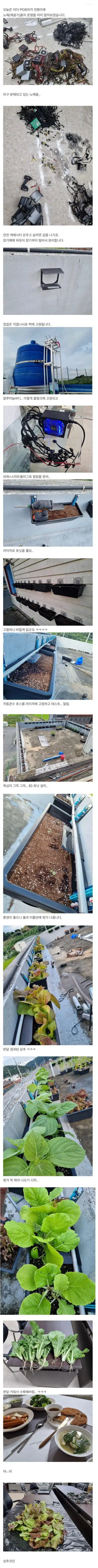 코인 채굴 노예들의 운명.jpg