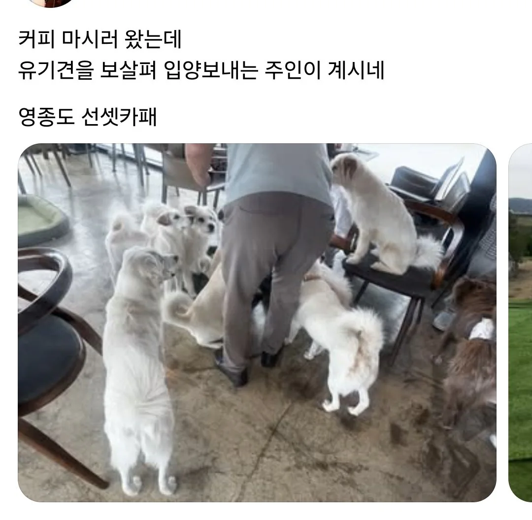 운영이 ㄹㅇ 개판인 인천 영종도 카페