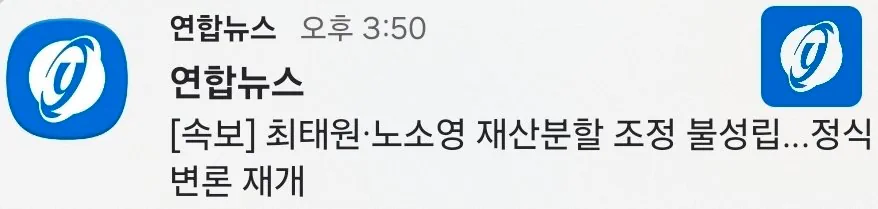 최태원-노소영 재산분할 조정불성립…정식 소송절차 들어갈 듯