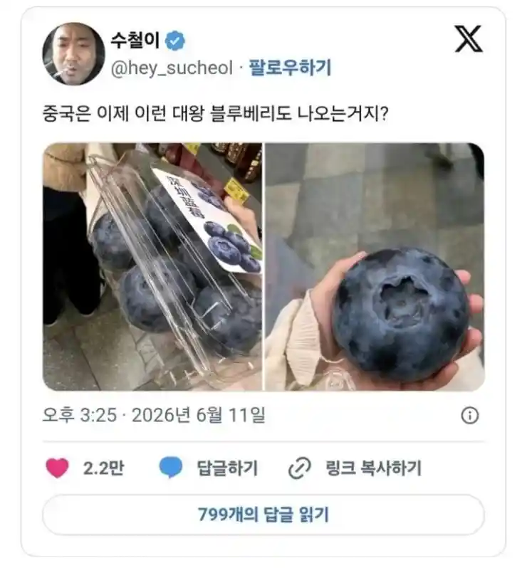 " 중국만 존재하는 대왕 블루베리... " . jpg