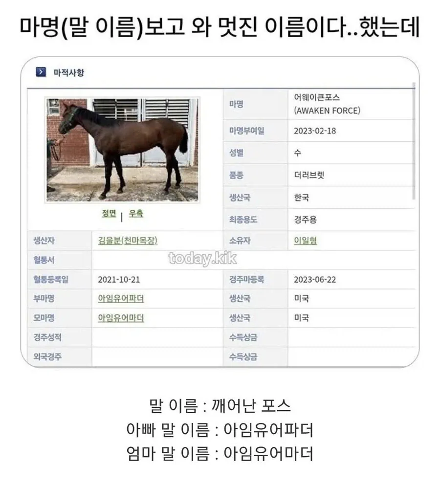 우리나라 말 이름 근황