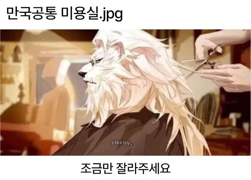만국공통 미용실
