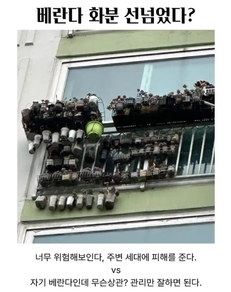 아파트 베란다 화분 논란