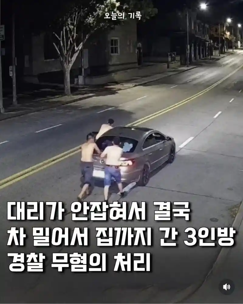 죽어도 음주운전은 안한다