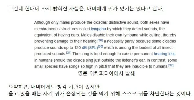 개 미친 이기적인 색기