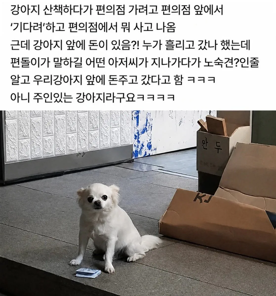 노숙견인줄 알고 누가 돈 주고 감