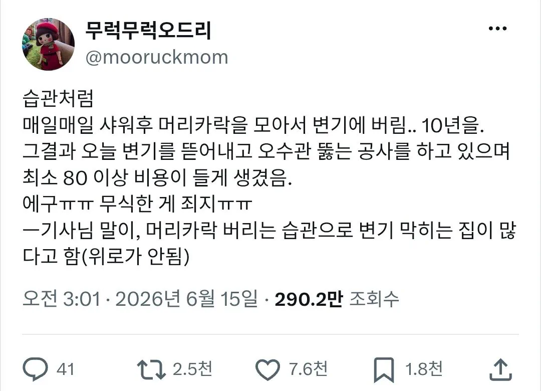 변기에 머리카락 버리면 안되는 이유
